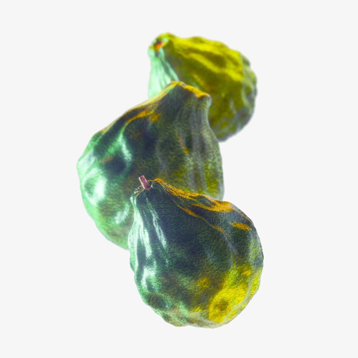 S05128468_2