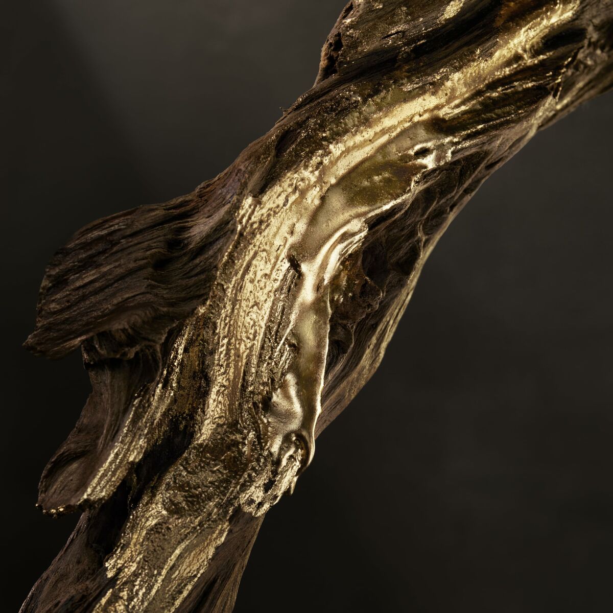 S05126645_10