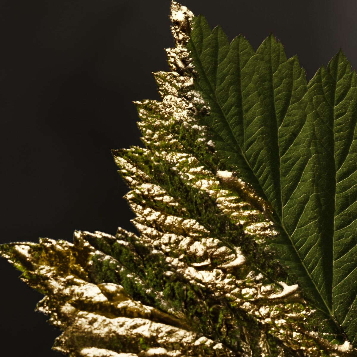 S05126645_11