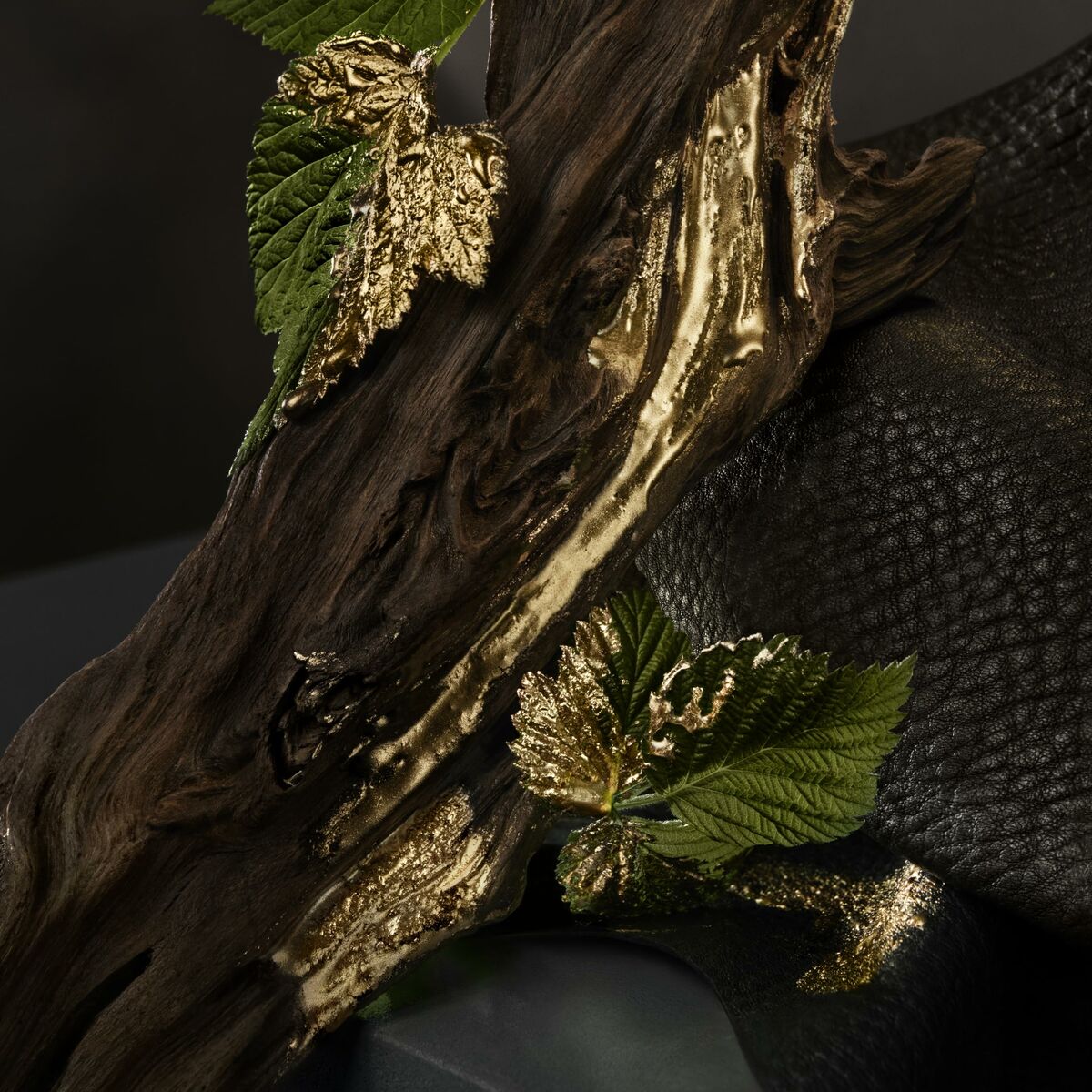 S05126645_8