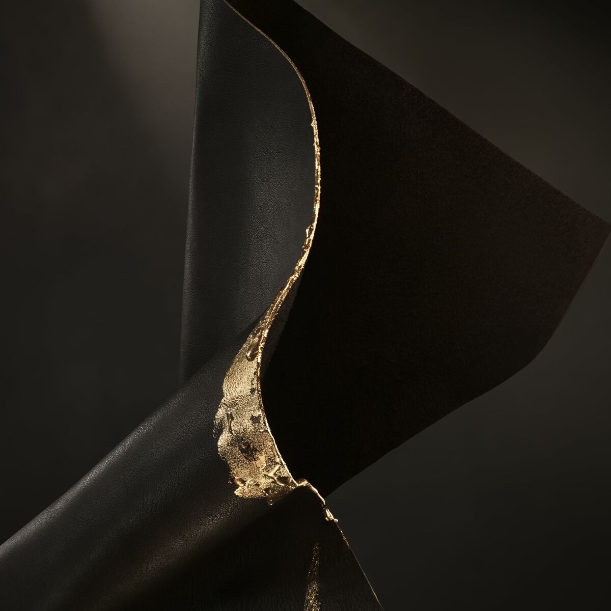 S05126645_9